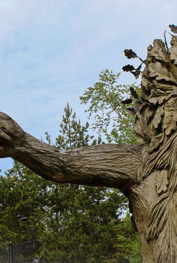 1 D34783 B 47 EC 418 E 8 AAE 0 B54 D795 E15 C 1 105 c