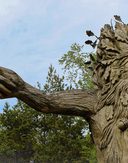 1 D34783 B 47 EC 418 E 8 AAE 0 B54 D795 E15 C 1 105 c