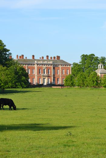 20180812 House Landscape 003