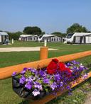 231778879 5902052093169096 2355430003759375948 n