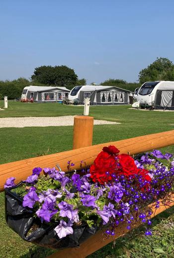 231778879 5902052093169096 2355430003759375948 n