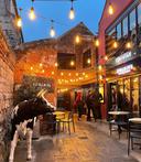 277531433 465819041896500 5385597818028627384 n