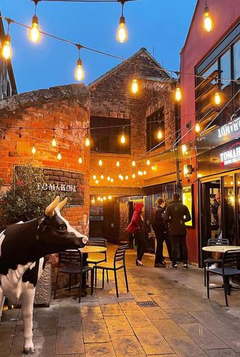 277531433 465819041896500 5385597818028627384 n