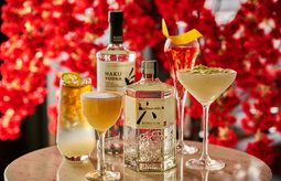 53790481556 185901a124 k