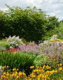 Breezy Knees Gardens floral 1776677617