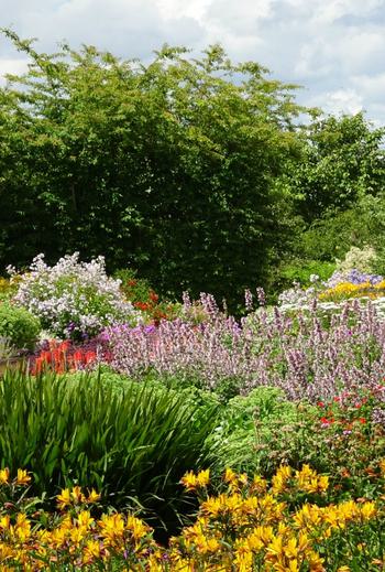 Breezy Knees Gardens floral 1776677617