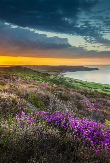 Coastal sunset view at Robin Hoods Bay Credit Ebor Images 336095133