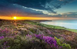 Coastal sunset view at Robin Hoods Bay Credit Ebor Images 336095133