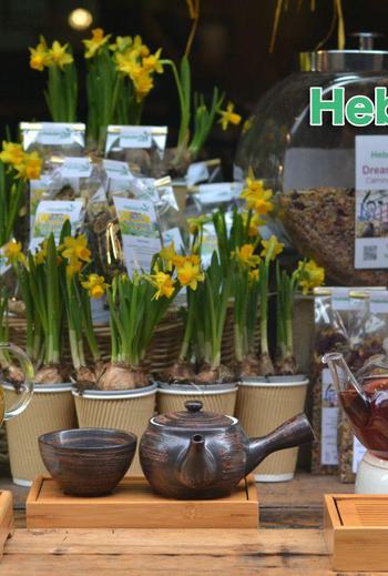 Front For Web 1329881908