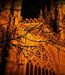 Ghost Walks 472911209