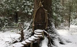 Northwood Trail, England's Fairy Sanctuary - fabulous all year...