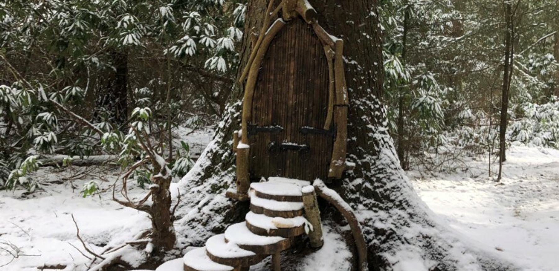 Northwood Trail, England's Fairy Sanctuary - fabulous all year...