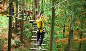Rail Track Crossing on Treetop Challenge at Go Ape Dalby