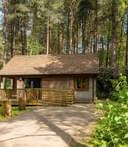 Griffon Forest 9317 2