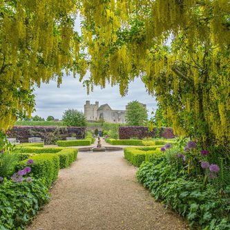 Helmsley Walled Garden Laburnum and Castle 2014820946 2025 03 28 154051 pkjy