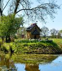 Hero image 786999279