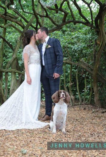 Image with credit 378853239