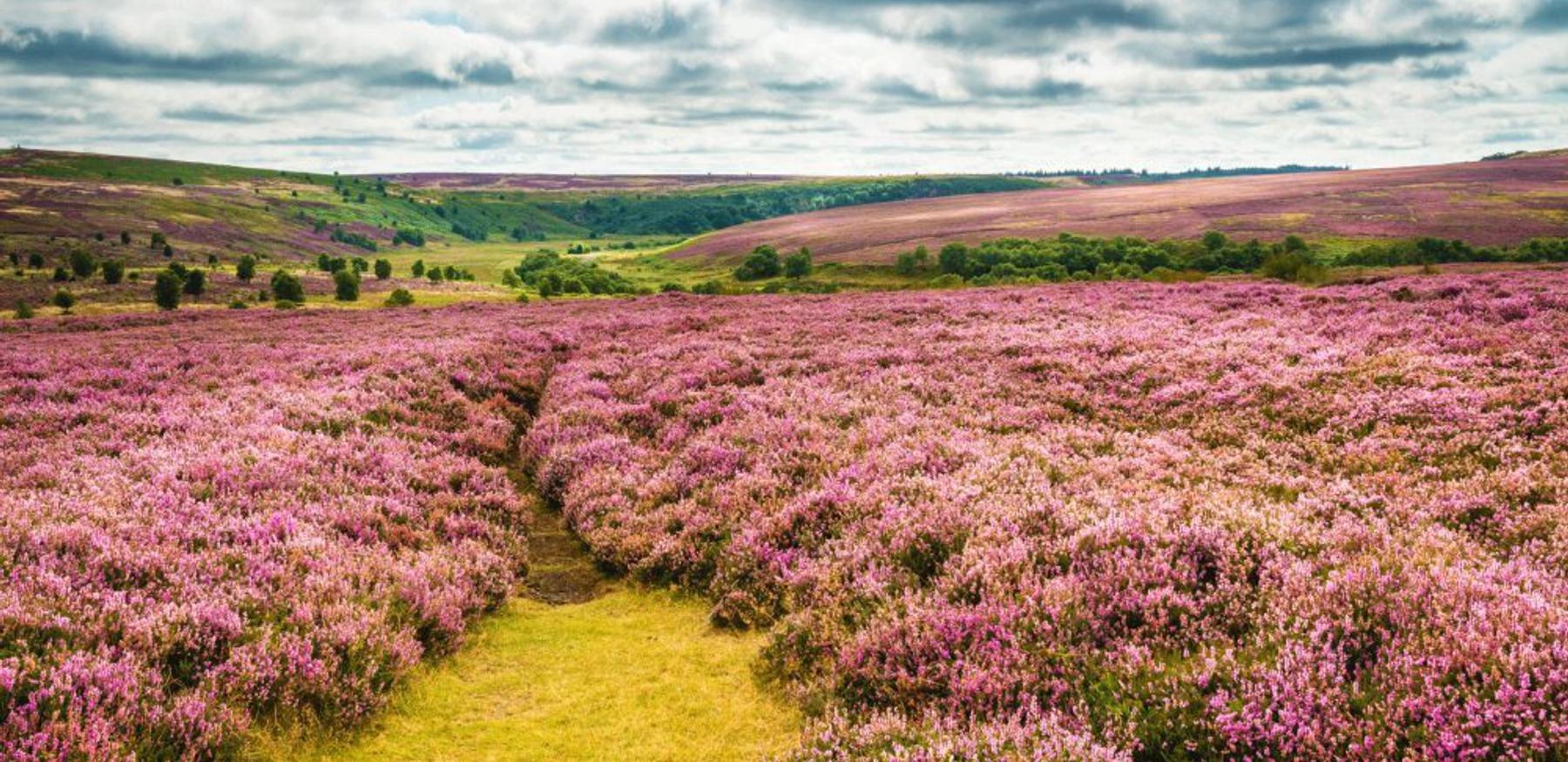 North york moors