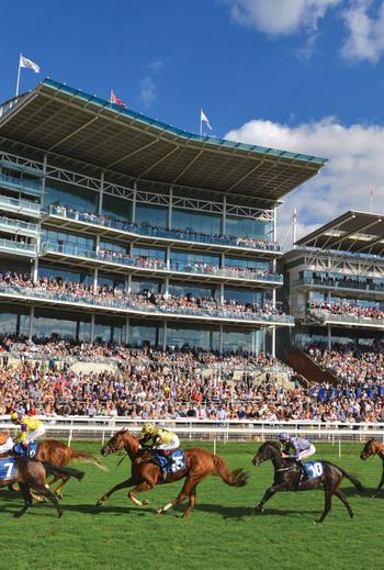 Number 15 horse 1557406908