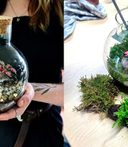 Screenshot 2025 07 30 134455