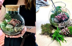 Screenshot 2025 07 30 134455