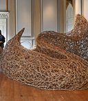 Thicket in the Saloon Beningbrough Wilderness Exhibition c National Trust Anthony Chappel Ross 2 1