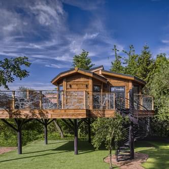 Tree Hs Ext 1 copy 2 816206753