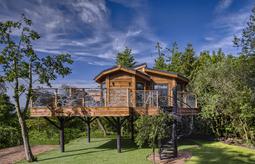 Tree Hs Ext 1 copy 2 816206753