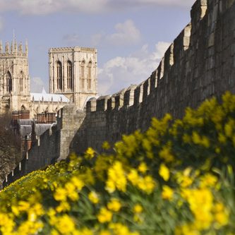 York City Walls Free Things Blog