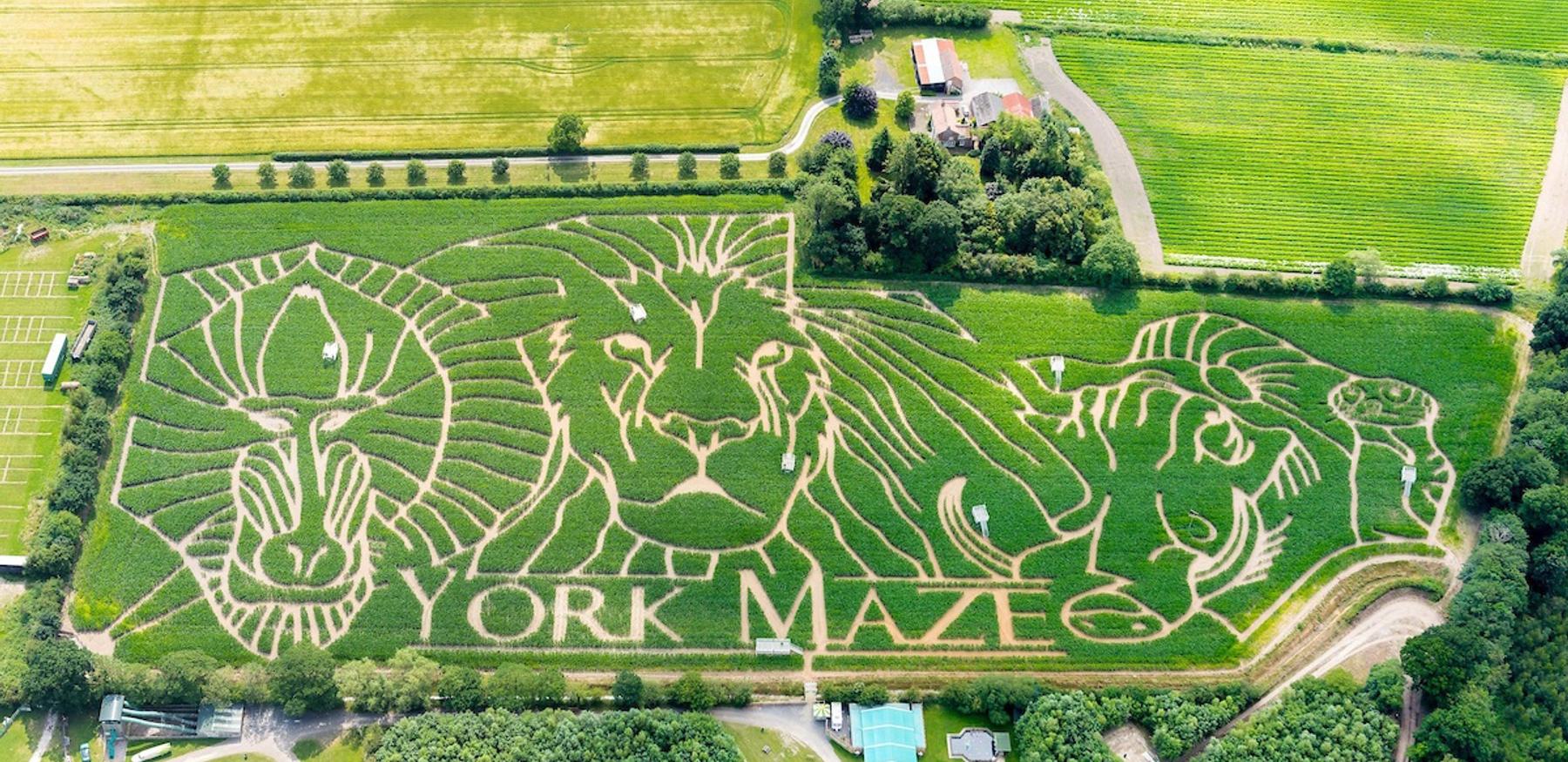 York Maze