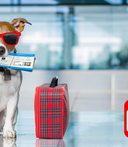 City Spare Space Visit York