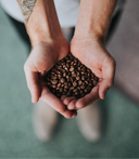 Image 1 800x 2066484873