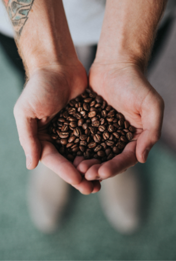 Image 1 800x 2066484873